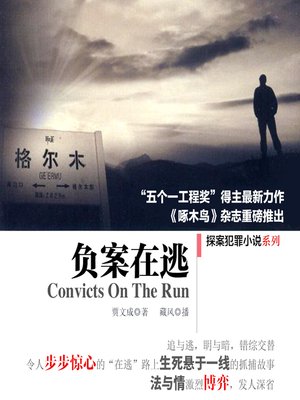 cover image of 负案在逃